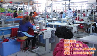 t恤衫工廠(chǎng),京嘉服飾 已認(rèn)證 ,t恤衫最低優(yōu)惠價(jià)格