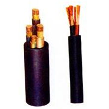 從100品質(zhì)到y(tǒng)c重型橡套電纜 特種電纜行業(yè)的技術(shù)突破與市場(chǎng)洞察